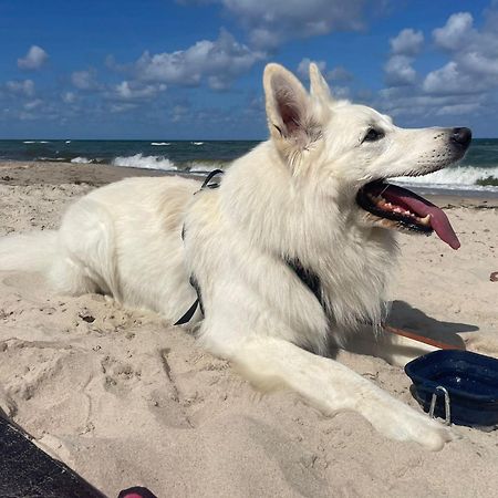 Dogs Welcome! Domek Na Zacisznej Pogorzelica  Εξωτερικό φωτογραφία